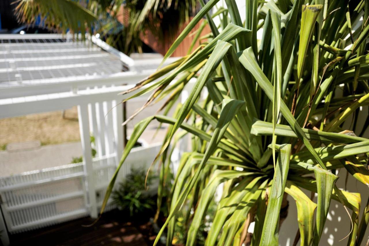 The Bungalows At Bondi 悉尼 外观 照片